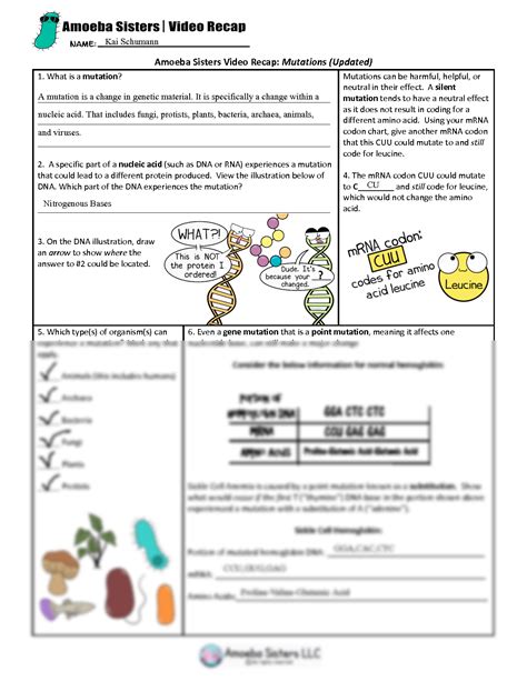 amoeba sisters video recap mutations updated answer key quizlet|amoeba sisters video recap mutations updated.